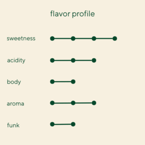 Award-Winning Ethiopia Sidamo Natural - Image 3